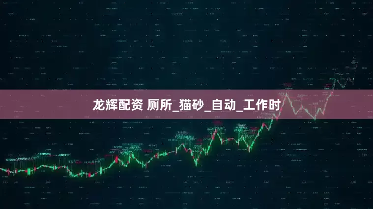 龙辉配资 厕所_猫砂_自动_工作时