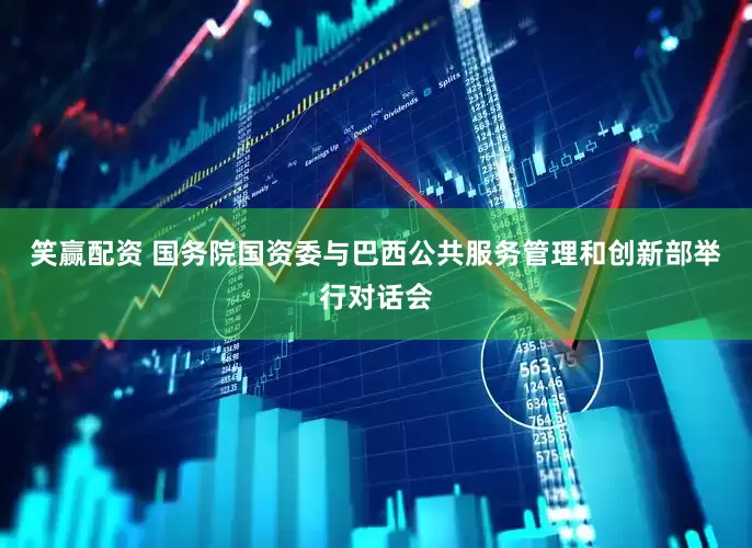 笑赢配资 国务院国资委与巴西公共服务管理和创新部举行对话会