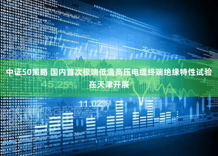中证50策略 国内首次极端低温高压电缆终端绝缘特性试验在天津开展