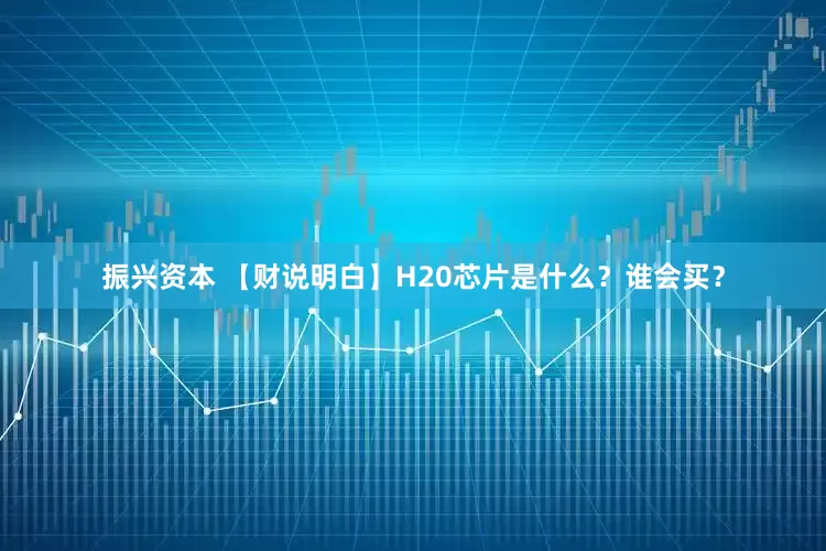 振兴资本 【财说明白】H20芯片是什么？谁会买？