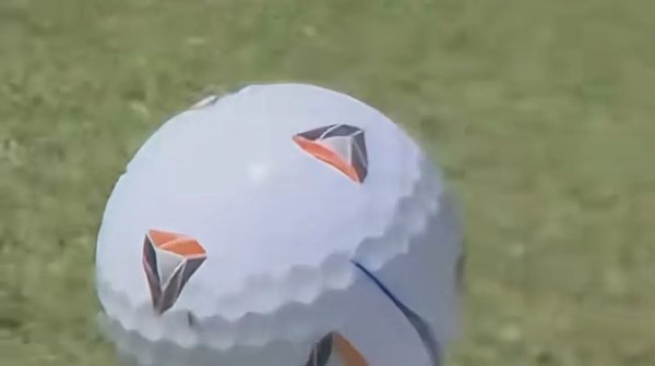 元富投资 苍蝇立大功，帮高尔夫球手赢得91万美元