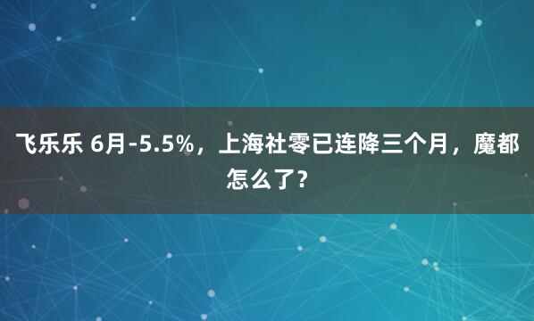 飞乐乐 6月-5.5%，上海社零已连降三个月，魔都怎么了？